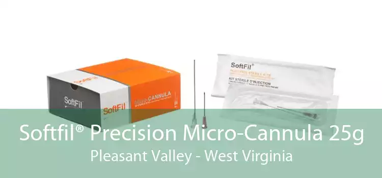 Softfil® Precision Micro-Cannula 25g Pleasant Valley - West Virginia